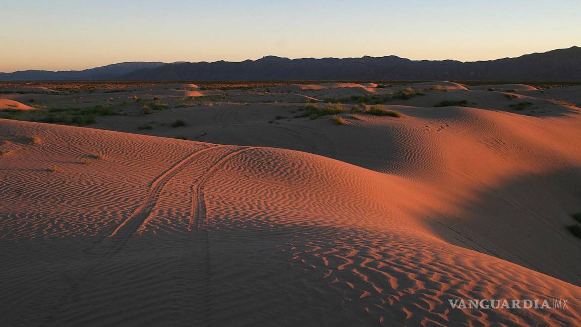 $!Viesca: Un oasis en el desierto.