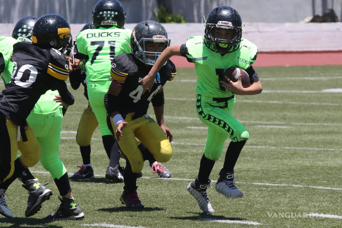 Vuelan a playoffs Steel Ducks