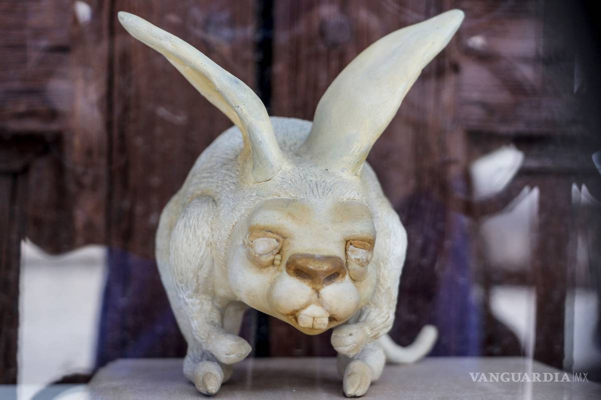 El imaginario de Cristina Rank en el Museo Rubén Herrera