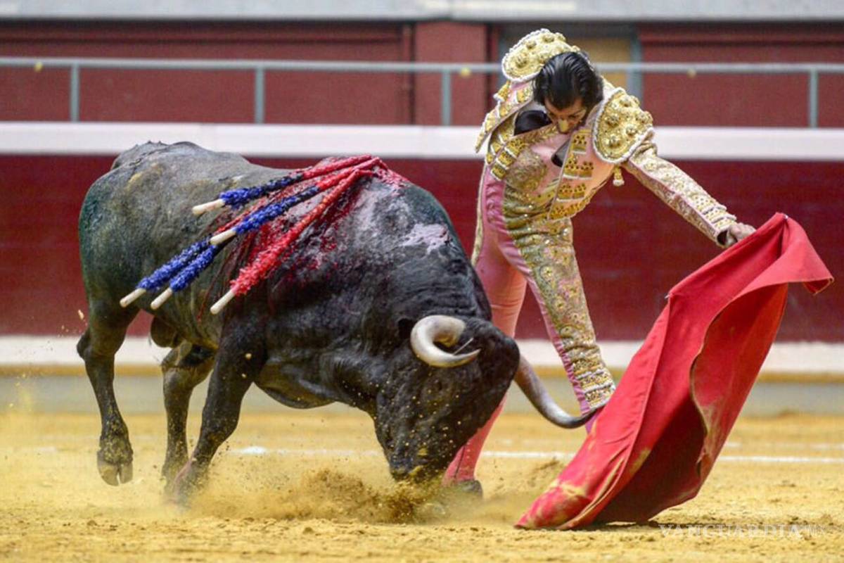 $!Desiste Armando Guadiana en su lucha por los toros