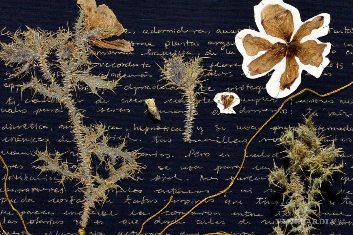 El encuentro entre Arte y Ciencia en las exposiciones de 2023-2024