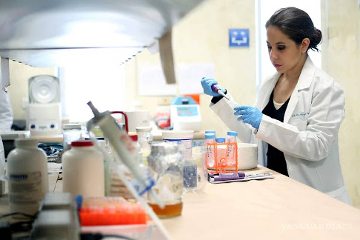 Aprueban reforma que quita apoyos a científicos del sector privado