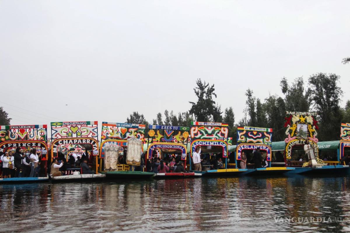 $!Ajolotes en peligro de extinción: UNAM alerta sobre la posible desaparición de esta especie en Xochimilco para 2025
