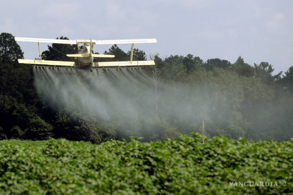 Presiona Dow Chemical al gobierno de Trump para frenar un reporte sobre pesticidas