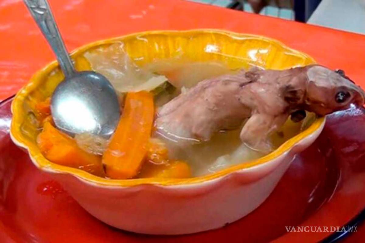 Caldo de rata: en Zacatecas es un ‘exquisito’ platillo, ¿se te antoja?