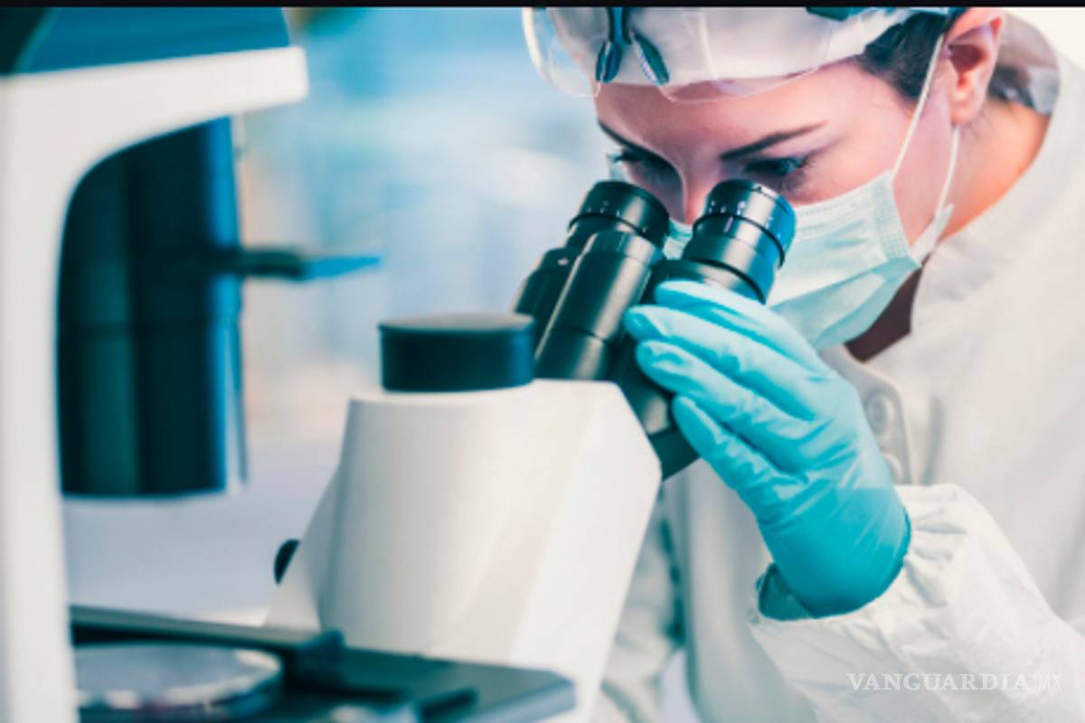 Hallan punto débil del COVID; impediría que se multiplique en el cuerpo humano