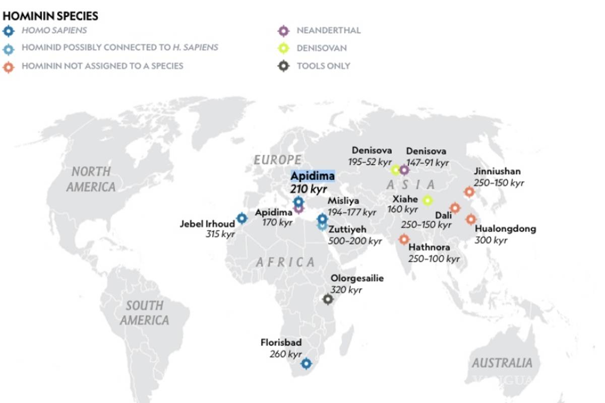 $!Dos cráneos cambian la historia de nuestra especie en Eurasia