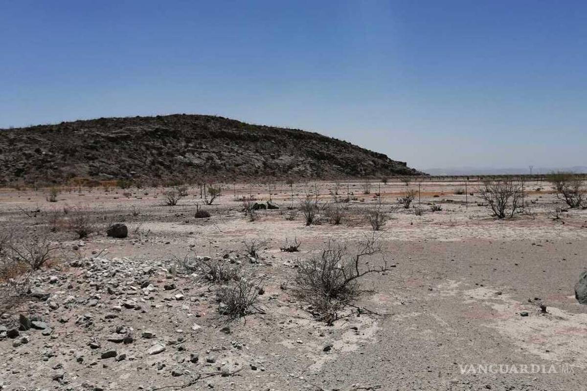 Encuentran osamenta cerca de carretera, en Matamoros, Coahuila; detienen a hermano como presunto homicida