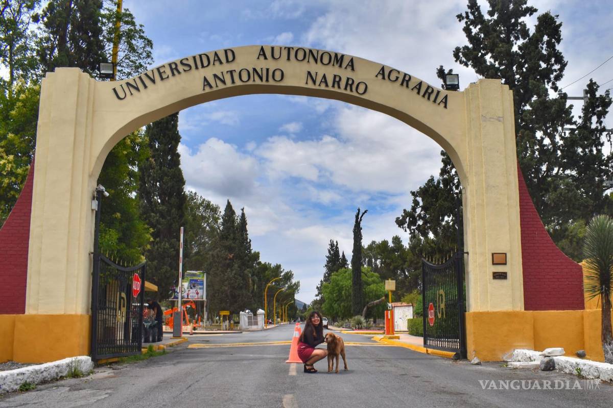 ‘Será temporal retiro de perritos que habitan en terrenos de la UAAAN’, asegura el rector Mario Vázquez