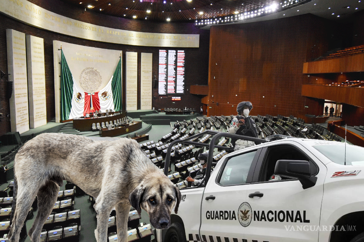 Declaran constitucionales reformas que prohíben maltrato animal y amplían facultades a SSPC