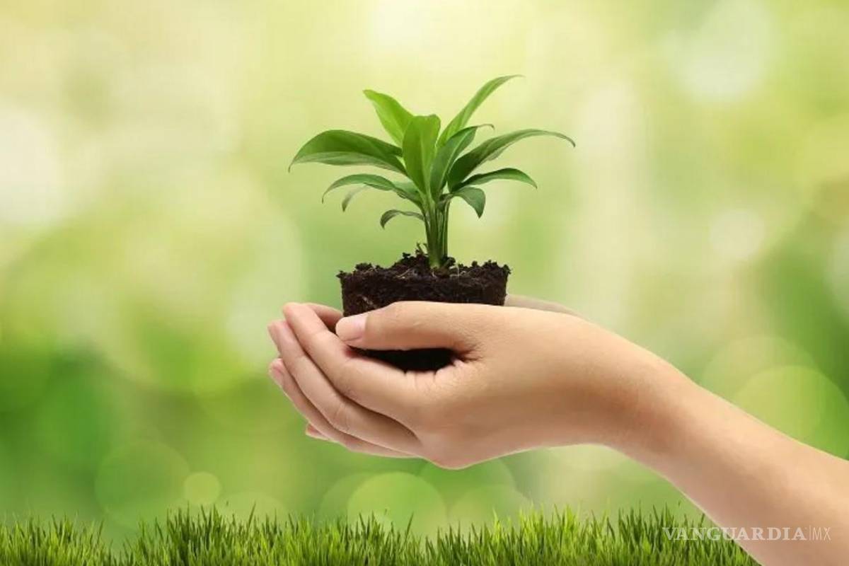 Rechaza diputado reducción presupuestal a Semarnat