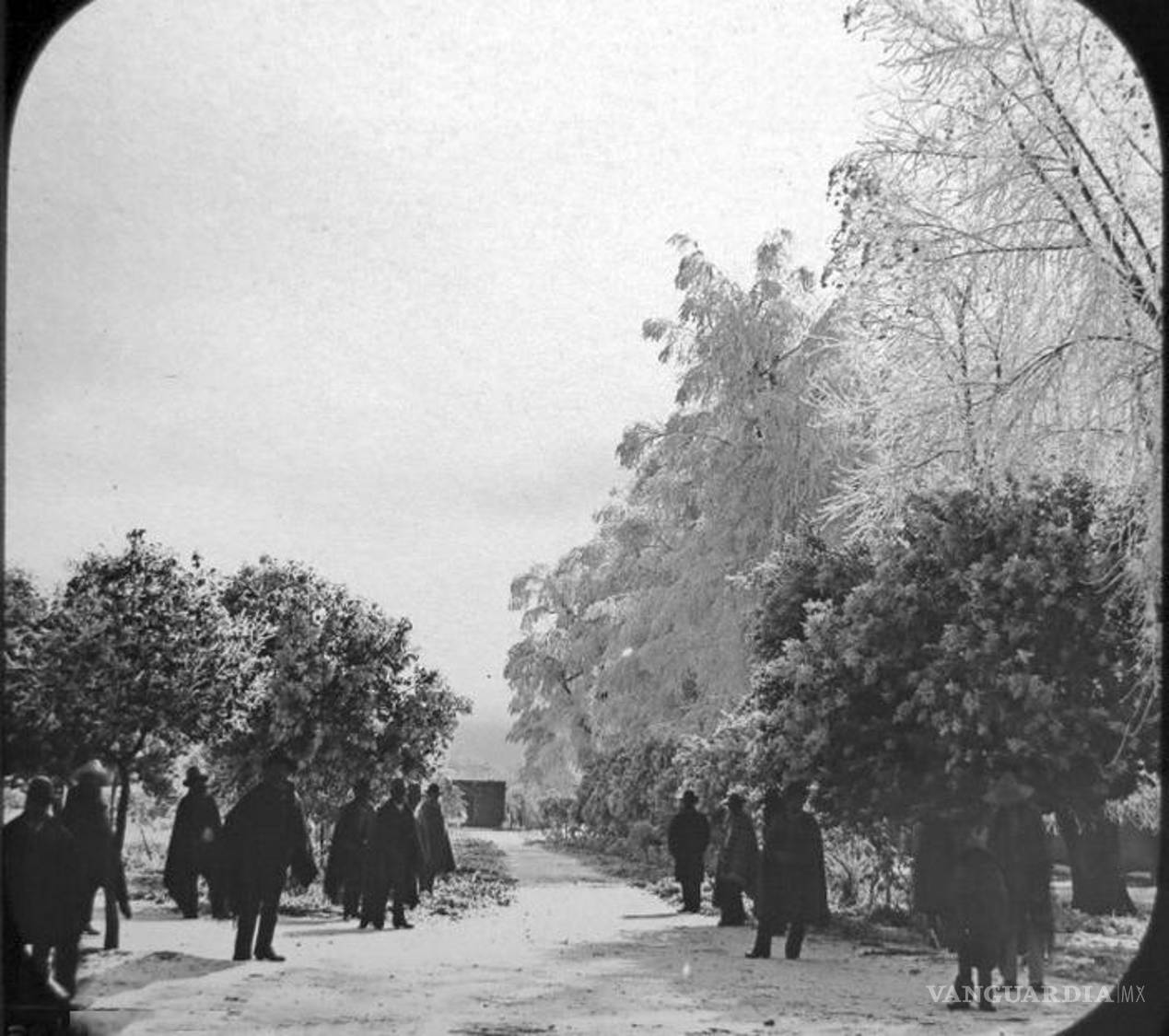 $!Fotografía de Saltillo en 1887. La nieve cubre los árboles y el suelo. Se observa a personas con atuendos abrigadores.