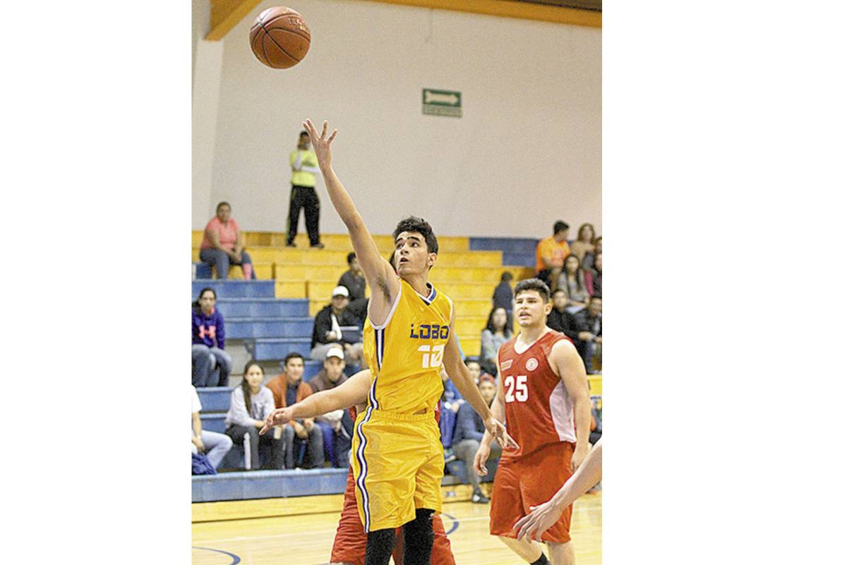 Lobos saca chispas en las duelas de la Liga ABE