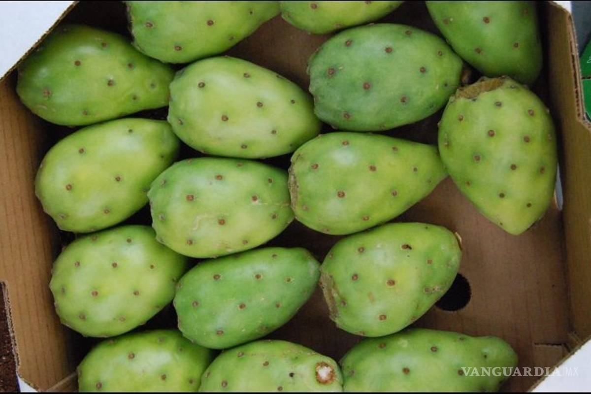 ¿Cuáles son los beneficios de la tuna?