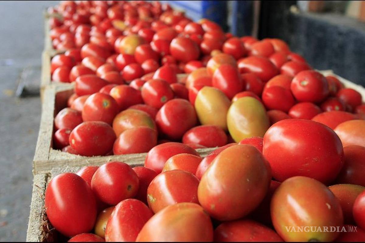 México y EU logran acuerdo sobre jitomate; se suspende ‘antidumping’