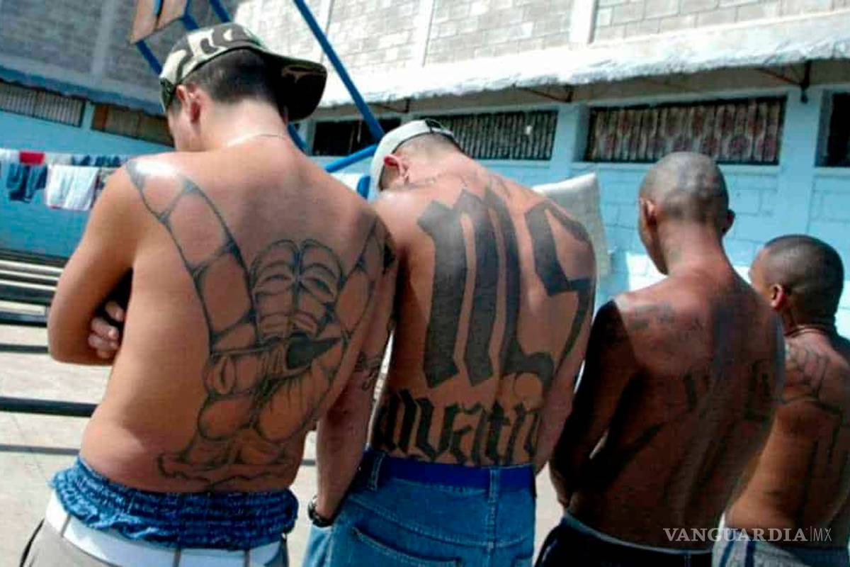 ¿Cómo surgió la Mara Salvatrucha?... la sangrienta narco pandilla que amenaza a Estados Unidos y tiene presencia, ¡en Piedras Negras!
