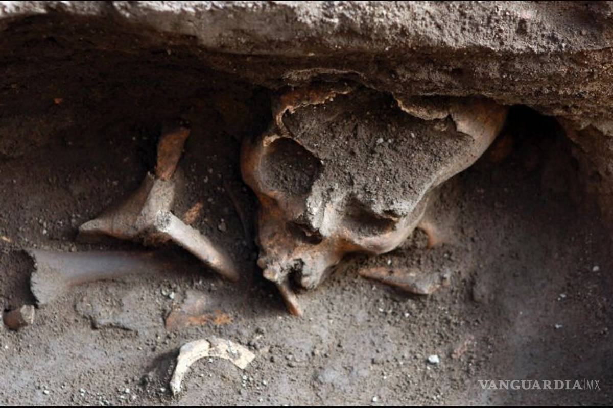 &quot;Cocoliztli&quot;, el mayor asesino de indígenas en la época colonial