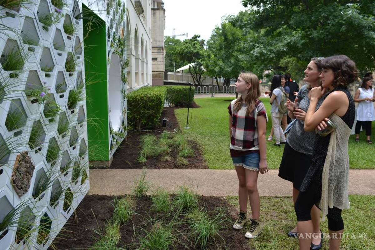 $!Pon a tu casa una piel verde