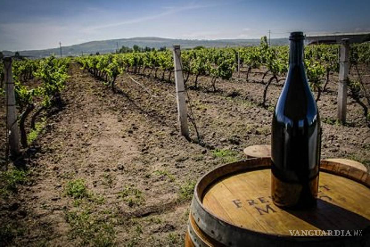 Vinos coahuilenses se llevan 12 medallas en concurso mundial