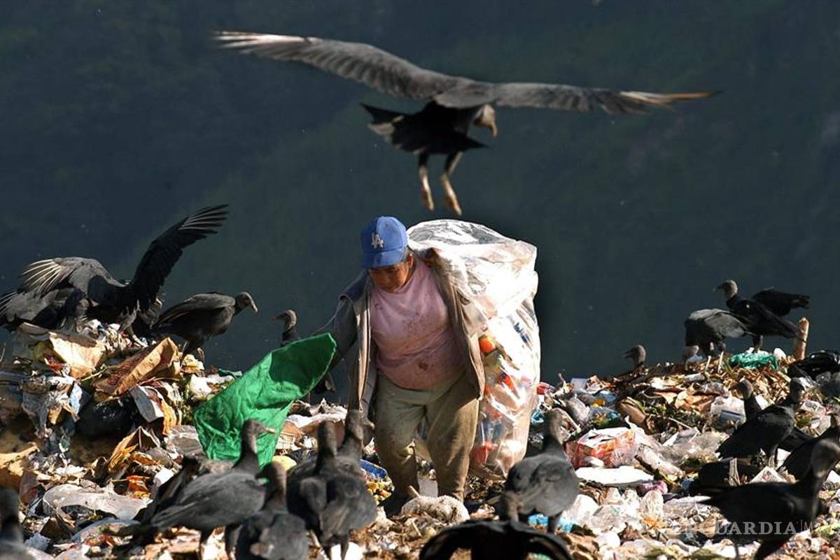 En América se desperdician 127 millones de toneladas de alimentos mientras crece el hambre