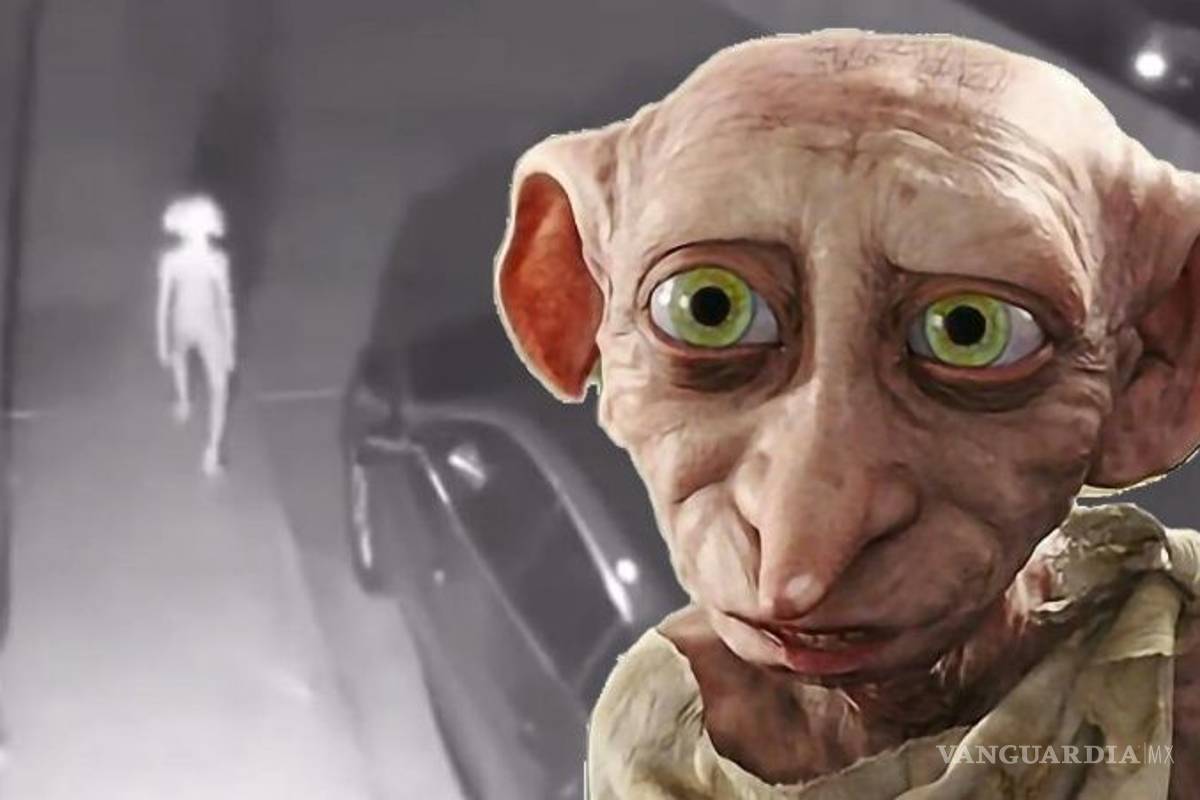 Encuentran caminando a un elfo igual a Dobby de Harry Potter