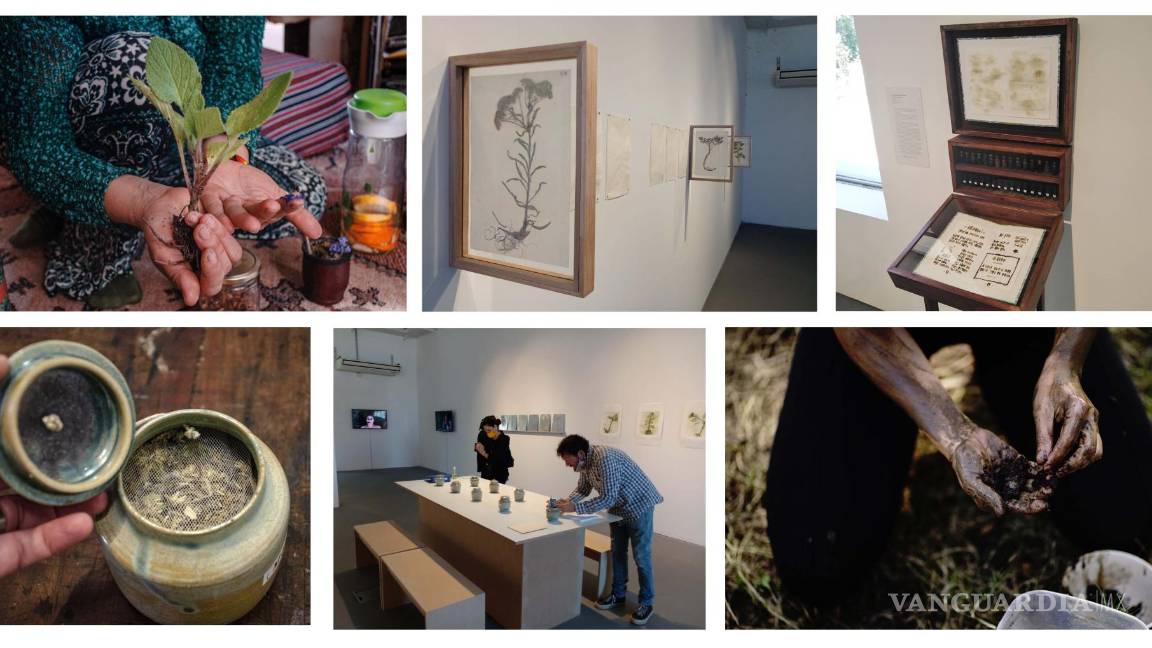 $!Obra de Alejandra González Soca.