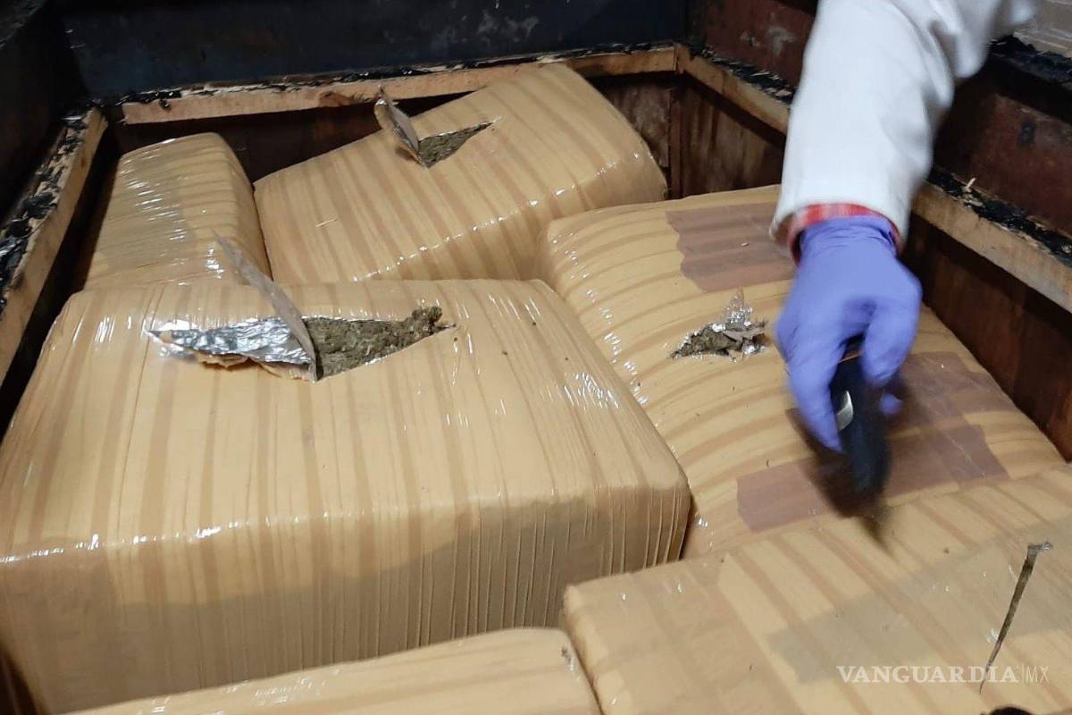 Le dan 8 años de cárcel por transportar marihuana en una empresa de paquetería, en NL