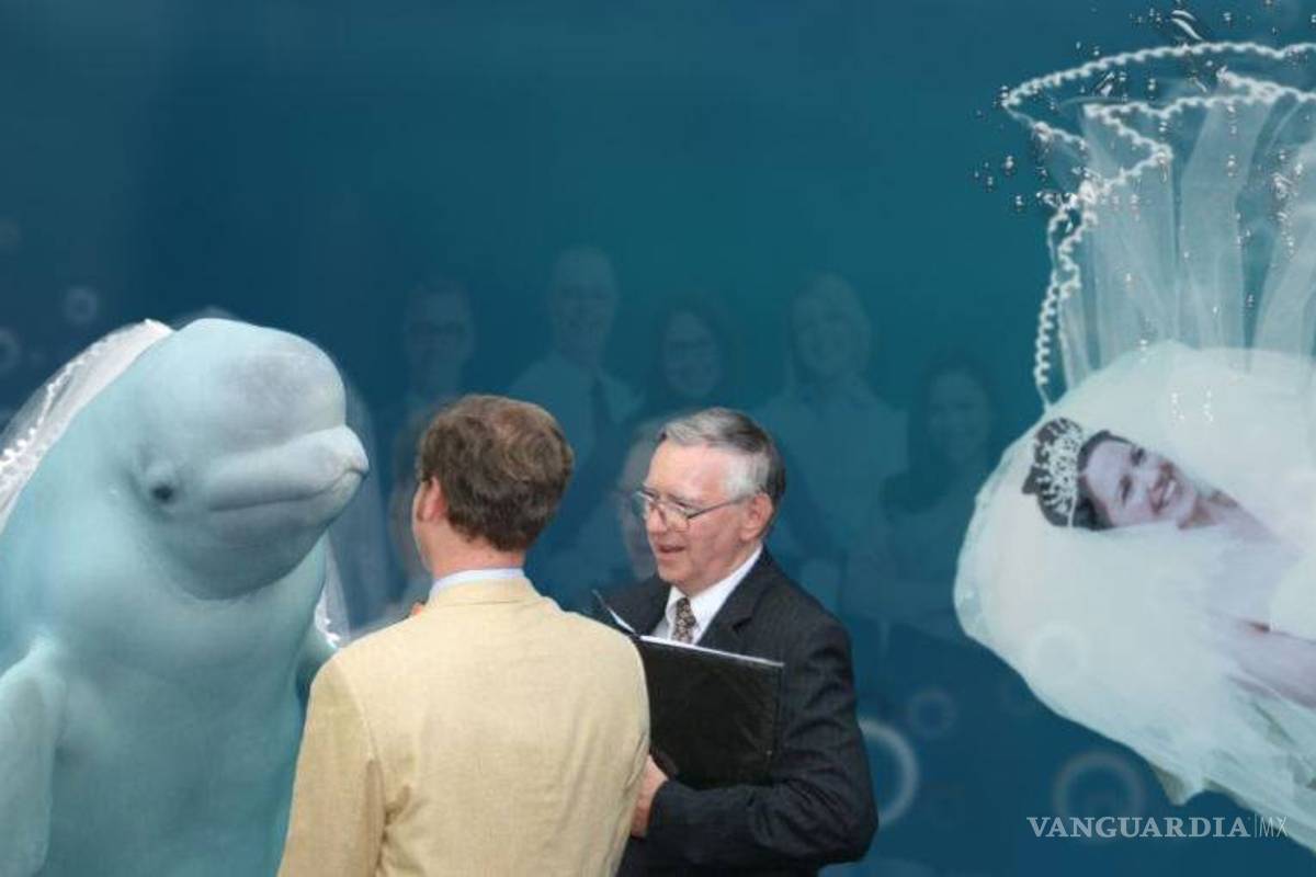 $!Ballena se aparece en boda y opaca a la novia