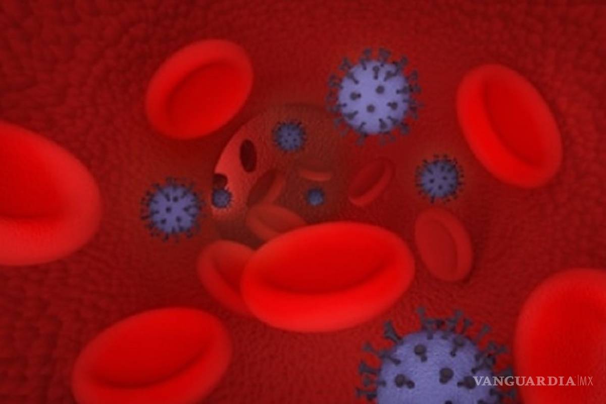 COVID-19 no solo daña los pulmones... ¡afecta vasos sanguíneos del corazón, cerebro y riñones!
