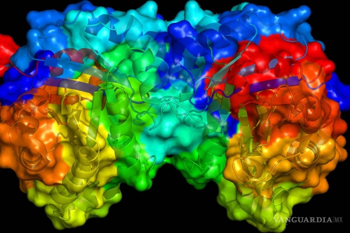 Por accidente, crean enzima que destruye plástico