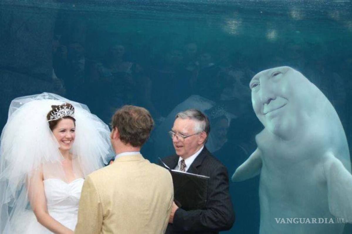 $!Ballena se aparece en boda y opaca a la novia