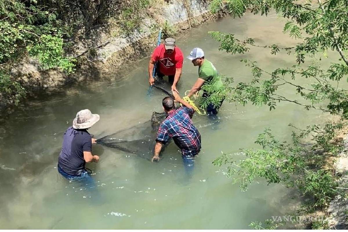 Capturan a cocodrilo en río de Montemorelos, Nuevo León