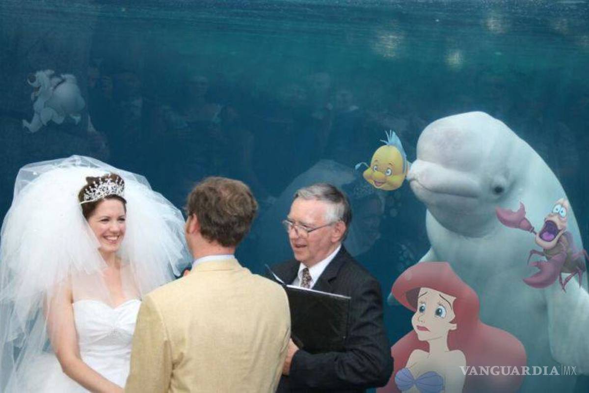 $!Ballena se aparece en boda y opaca a la novia