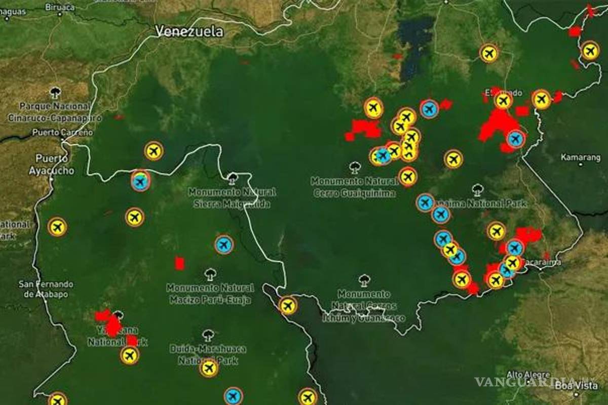 $!Minería ilegal en Venezuela causa deforestación equivalente a 40 mil campos de fútbol