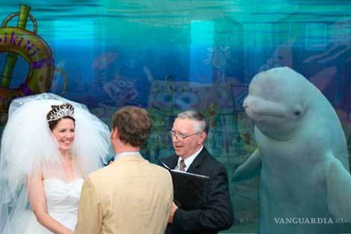 $!Ballena se aparece en boda y opaca a la novia