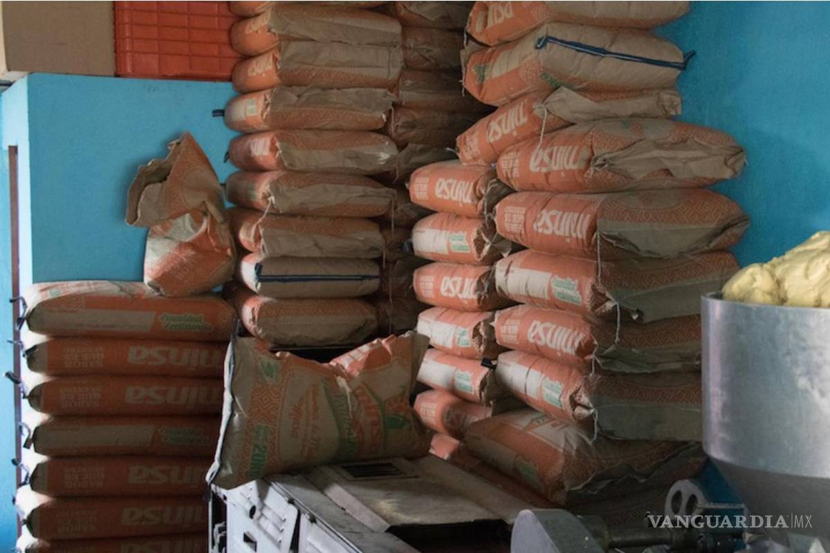 93% de harinas de maíz en México no nutre, ni las de Diconsa o DIF... eso revela estudio internacional