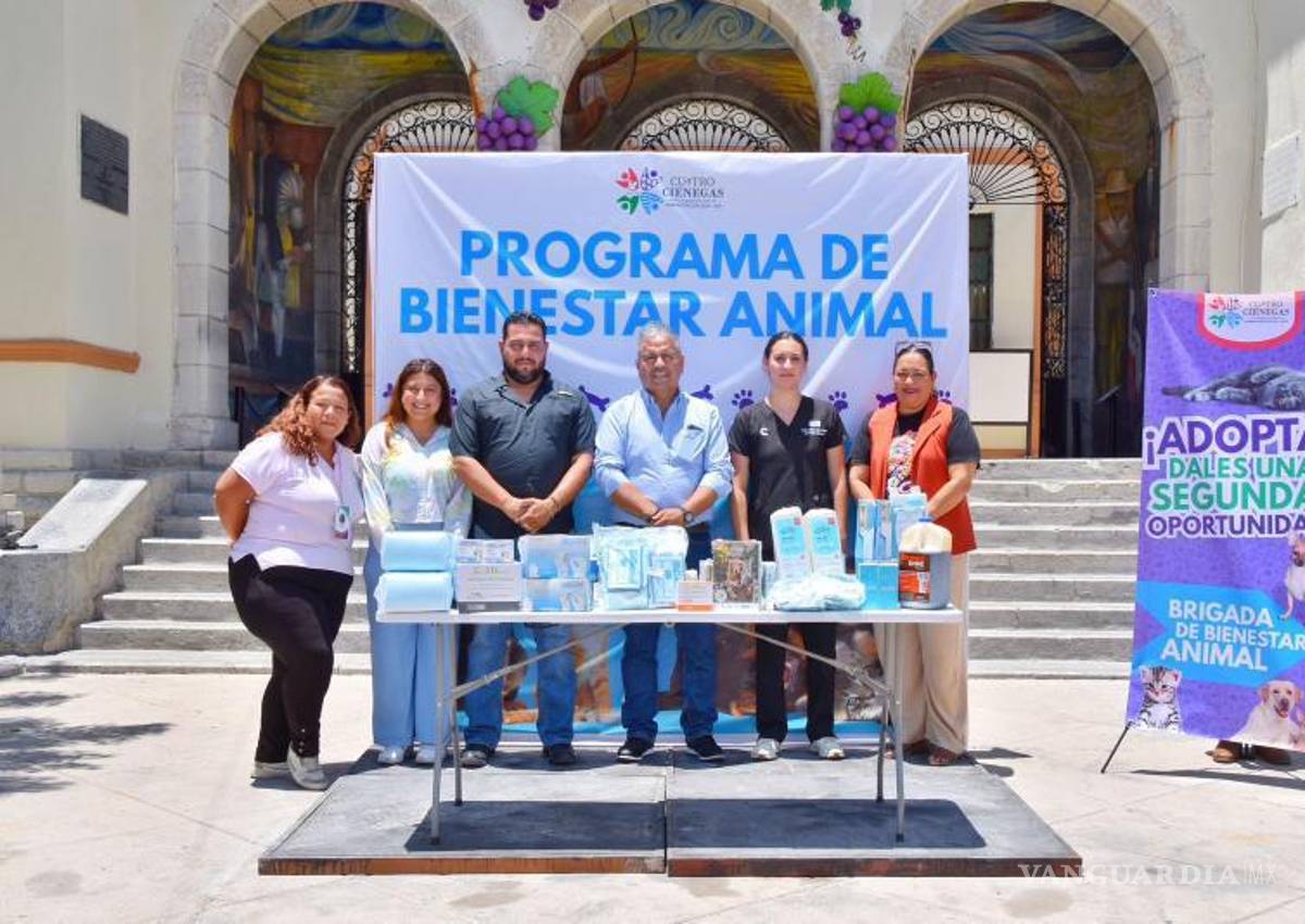 $!Lanzan campaña para mejorar condiciones de vida de perros y gatos en situación vulnerable-