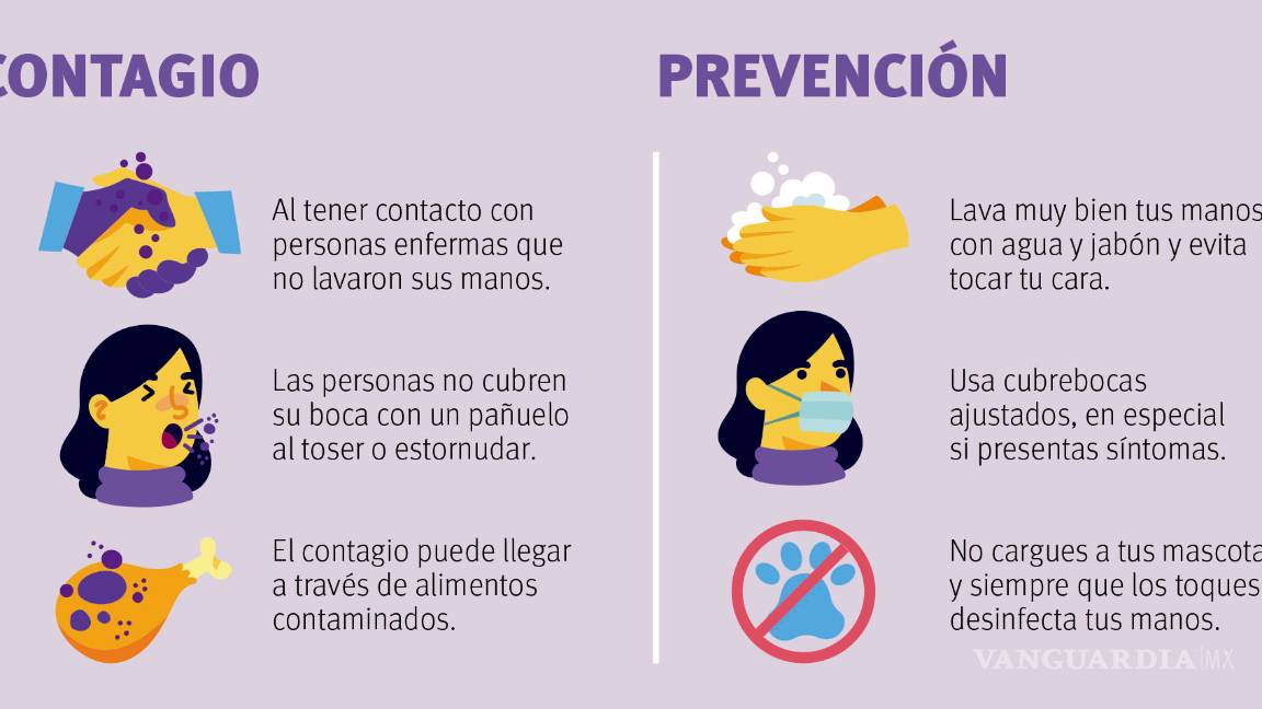 $!La pandemia de coronavirus: Algunos poco conocidos hechos sobre el COVID-19