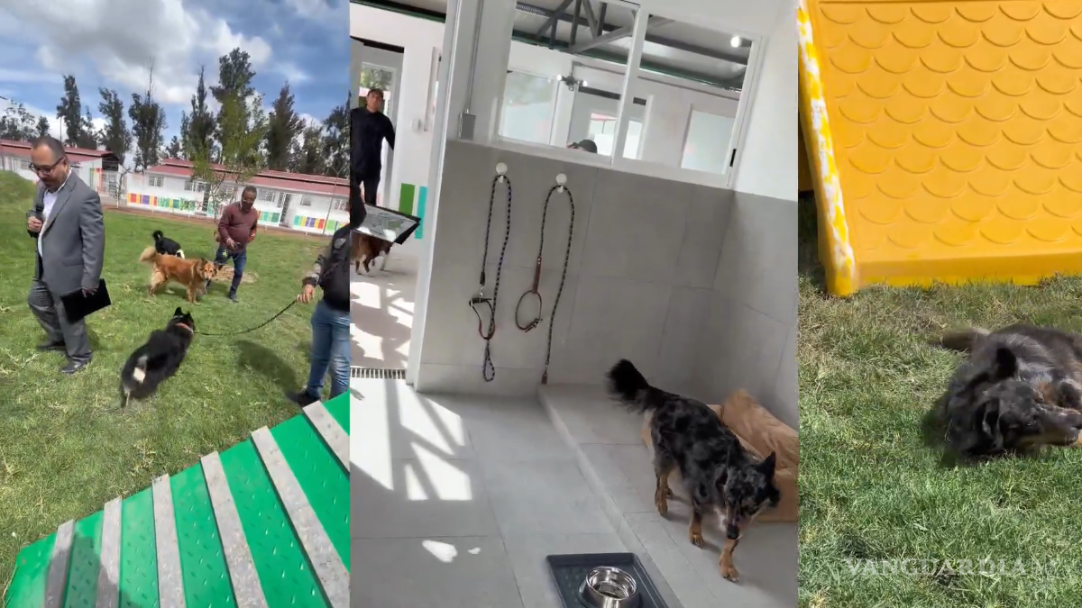 Inauguran el Centro Xólotl en CDMX: un gran refugio para hasta 600 perros y gatos