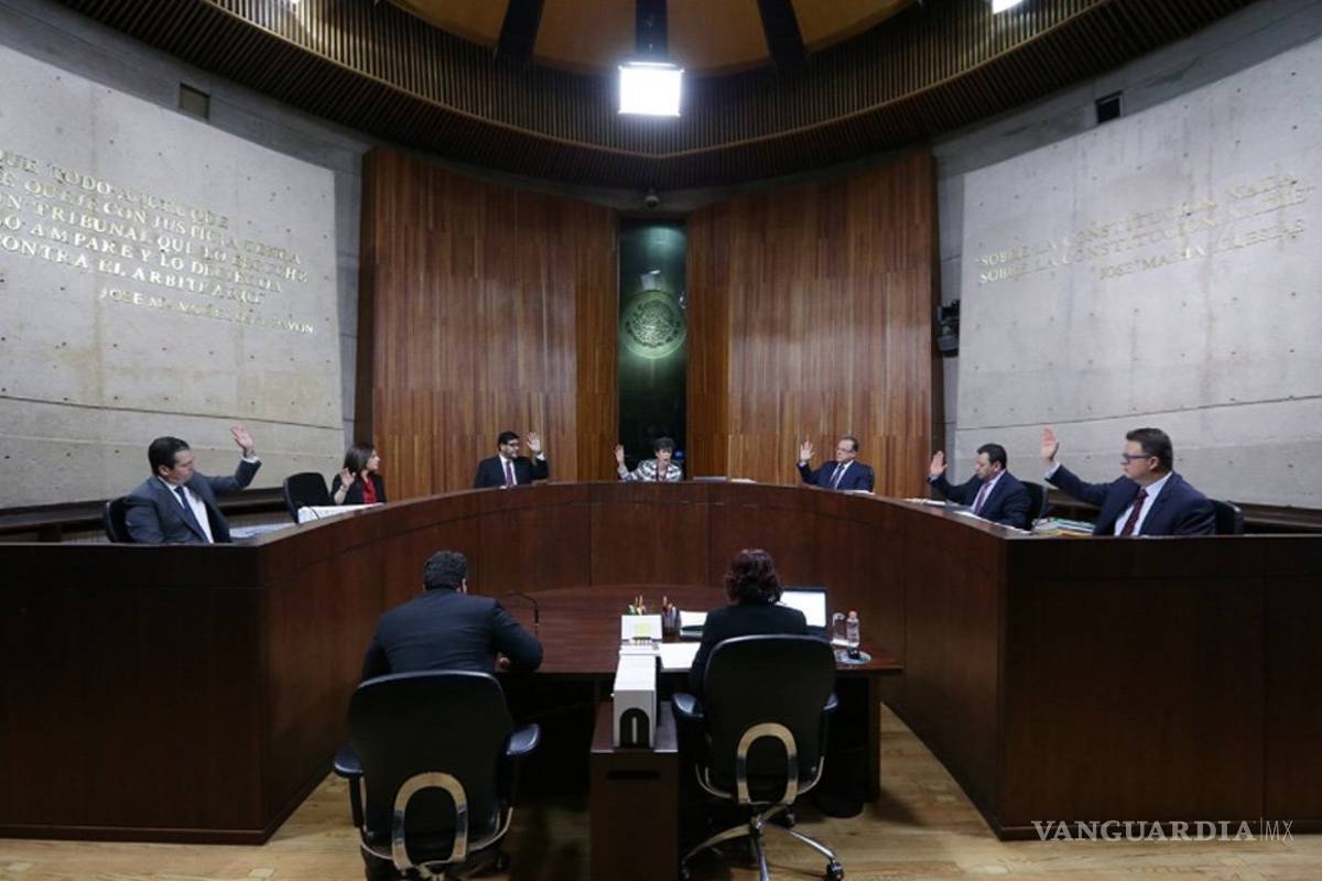 TEPJF crea comisión especial para analizar multa a Morena