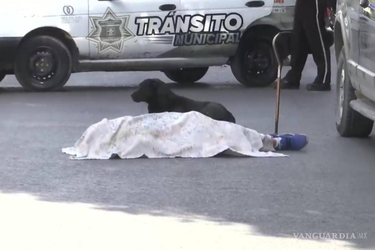 Abuelito muere atropellado en Durango, su perrito estuvo a su lado en todo momento