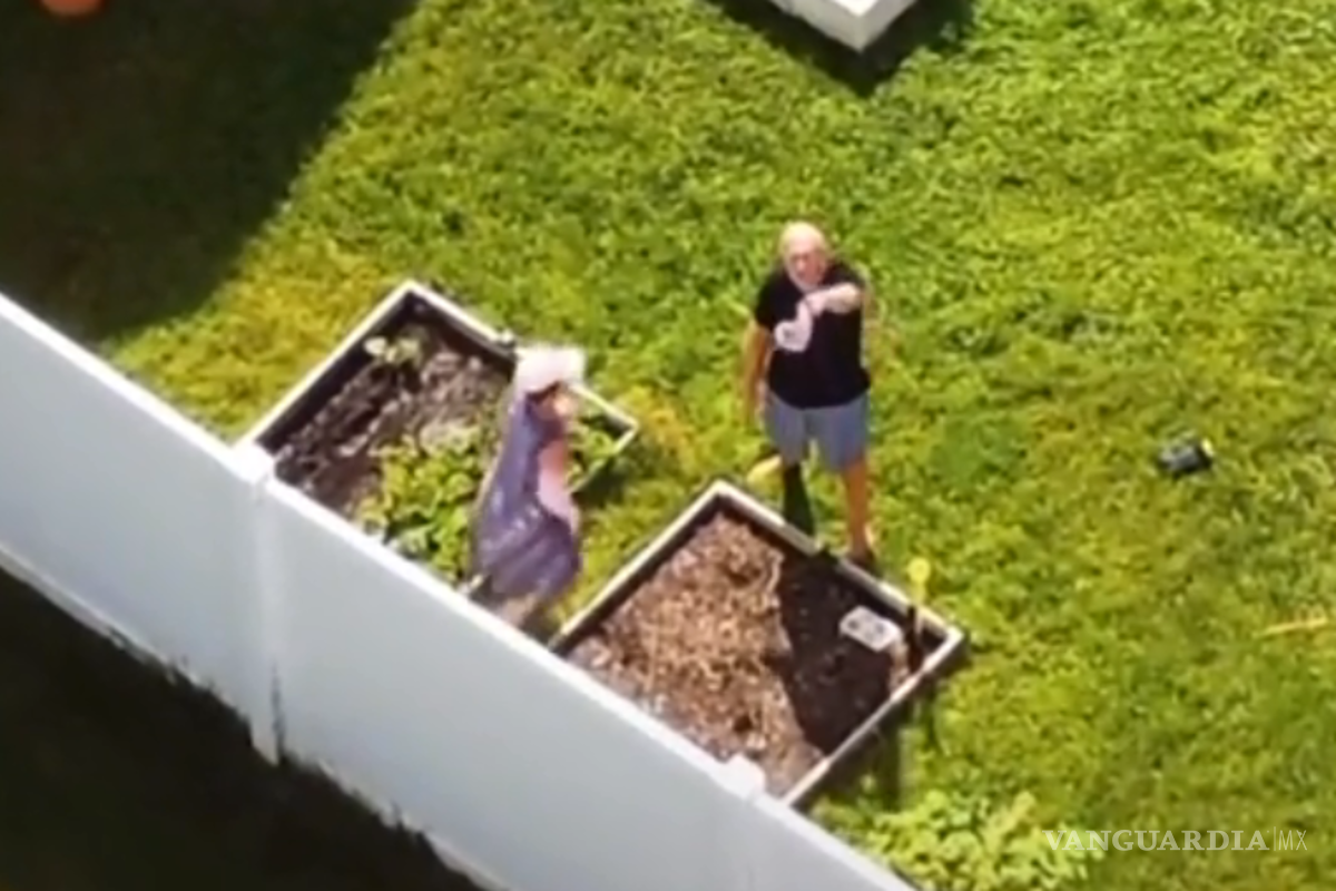Brian Laundrie, novio de Gabby Petito, estaría escondido en el jardín de sus padres, aseguran tiktokers
