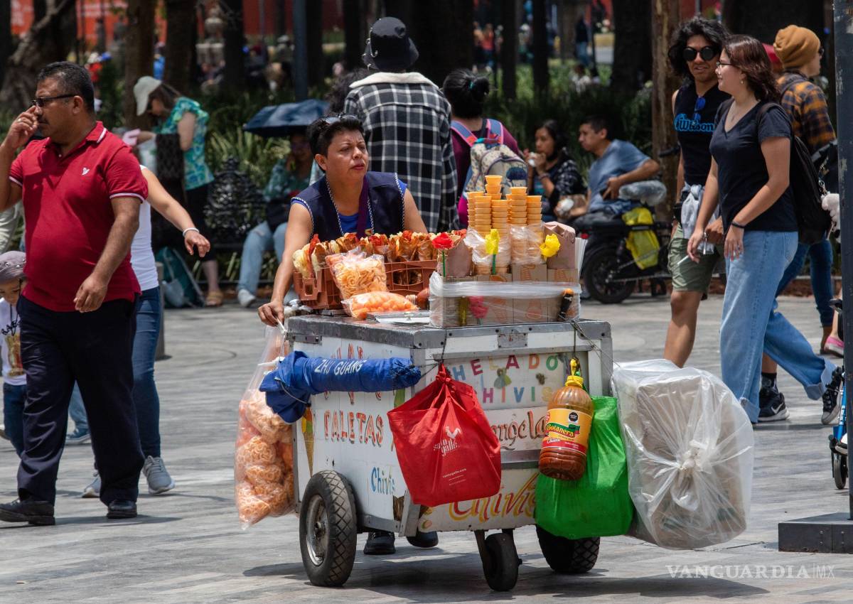 $!Las autoridades han dejado en claro el marco jurídico para castigar a quienes vendan comida chatarra cerca de las escuelas.
