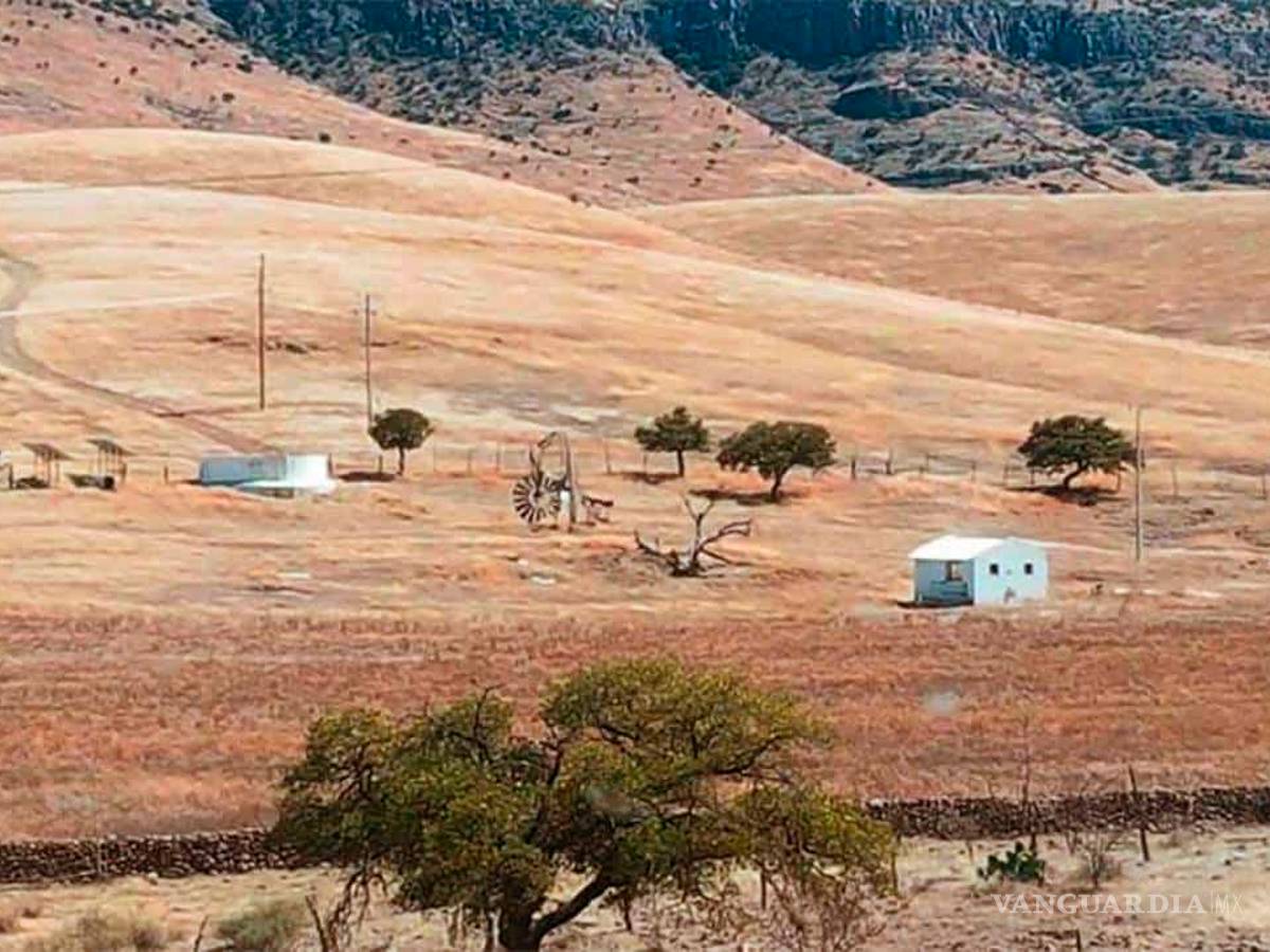 $!Encuentran llamas, bisontes y jabalíes en ranchos incautados a César Duarte