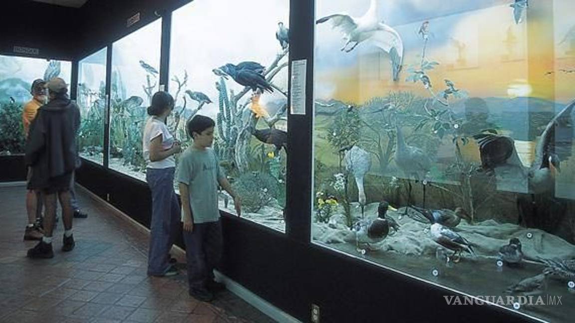 $!Cultura en Semana Santa: Para visitar estas vacaciones