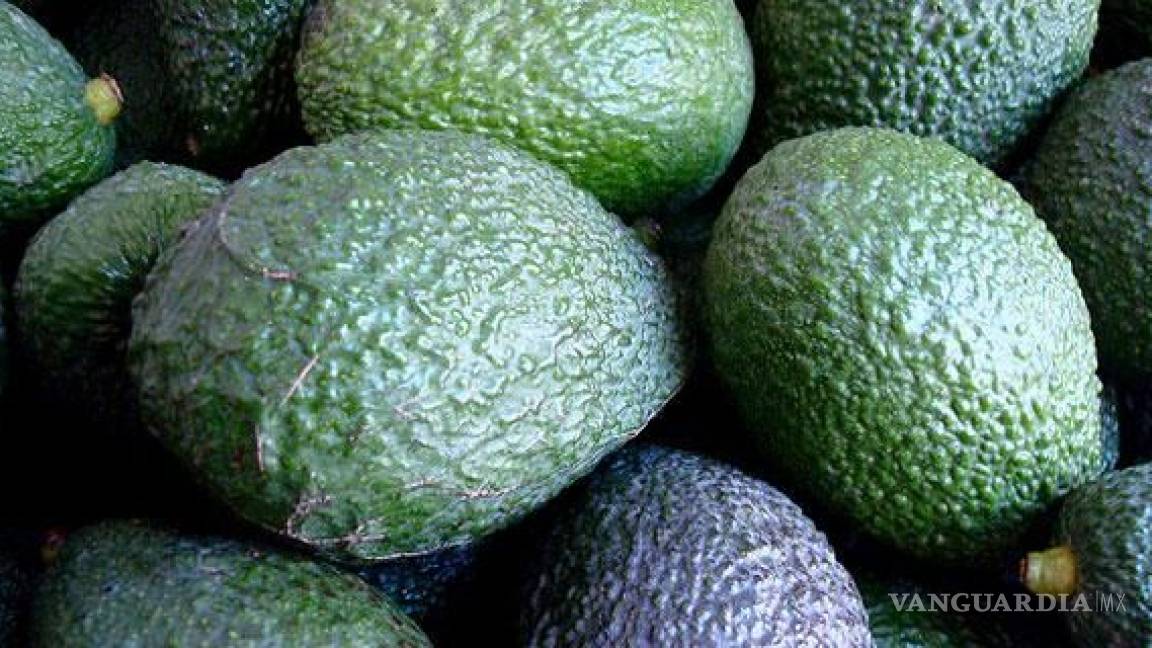 Descubren 100 kilos de droga oculta en aguacates falsos en Jalisco