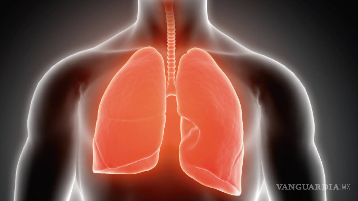 Microplásticos podrían alterar la función celular de nuestros pulmones