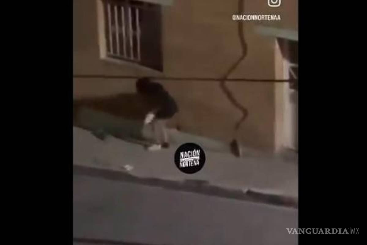 Comparten video en redes sociales sobre aparente maltrato a Itzy, quien murió víctima de omisión de cuidados en Saltillo