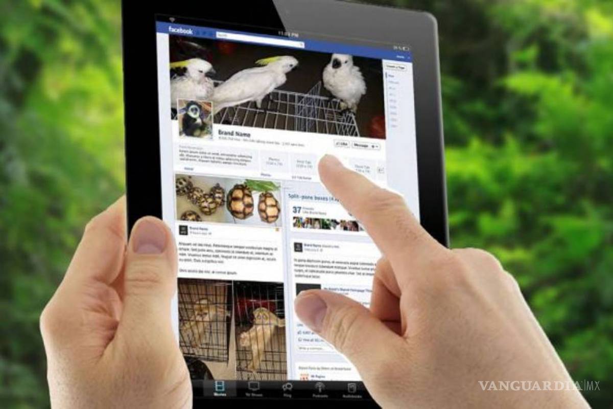 Facebook es un nuevo mercado de abastos para el contrabando de animales