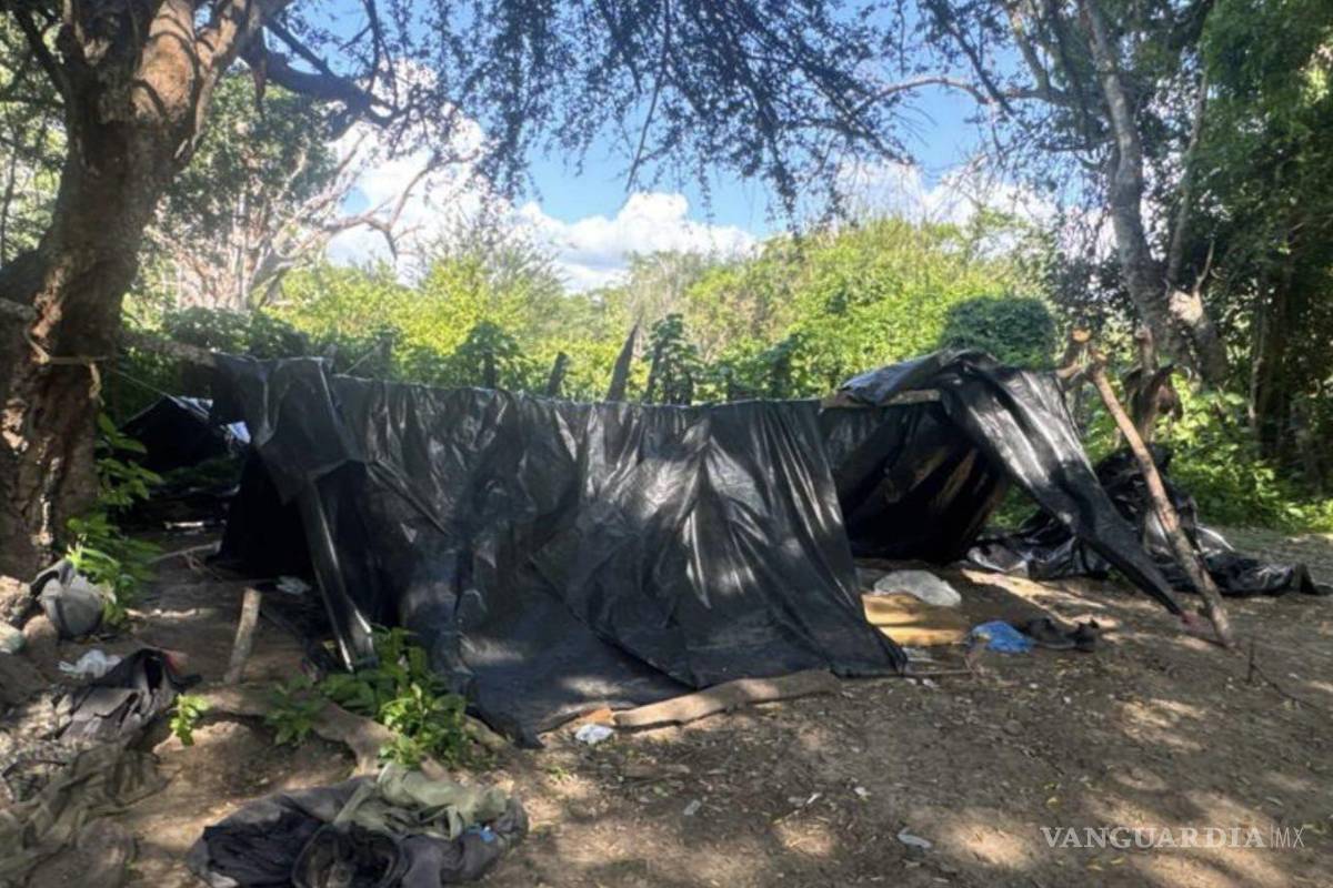 Aseguran 5 campamentos de refugio de grupos delictivos en Sinaloa